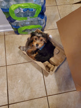 Load image into Gallery viewer, Man To Man
