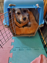 Load image into Gallery viewer, java
